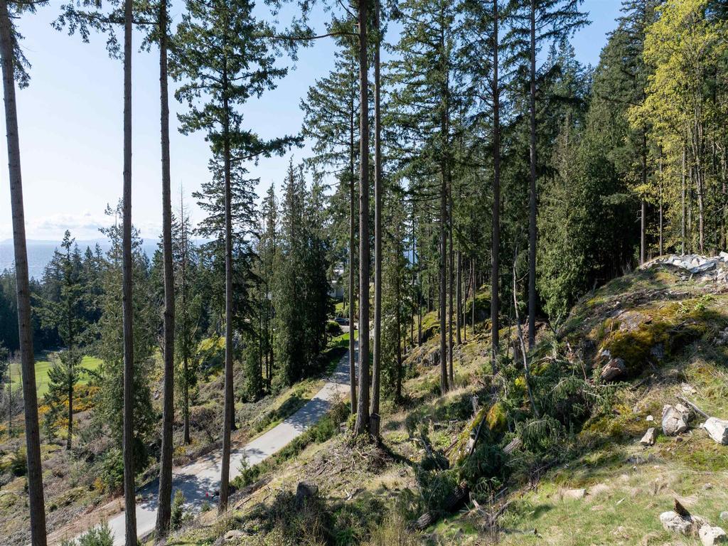 Listing Image for R3004610