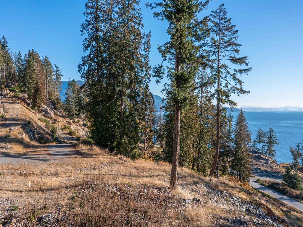 Listing Image for R3004610