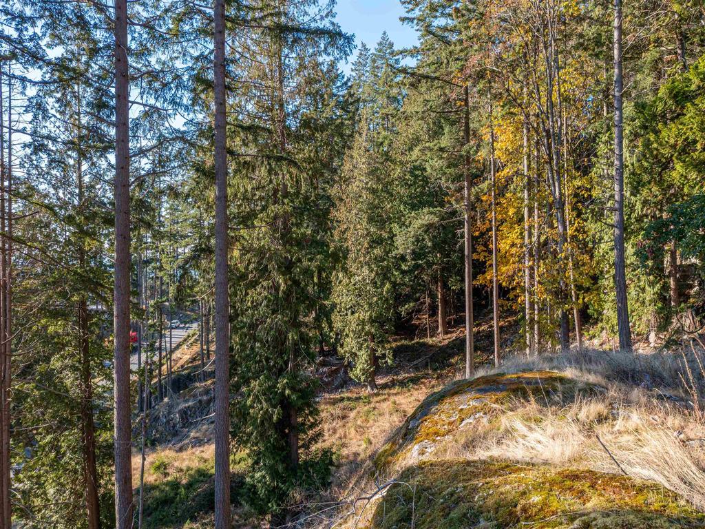 Listing Image for R3004647