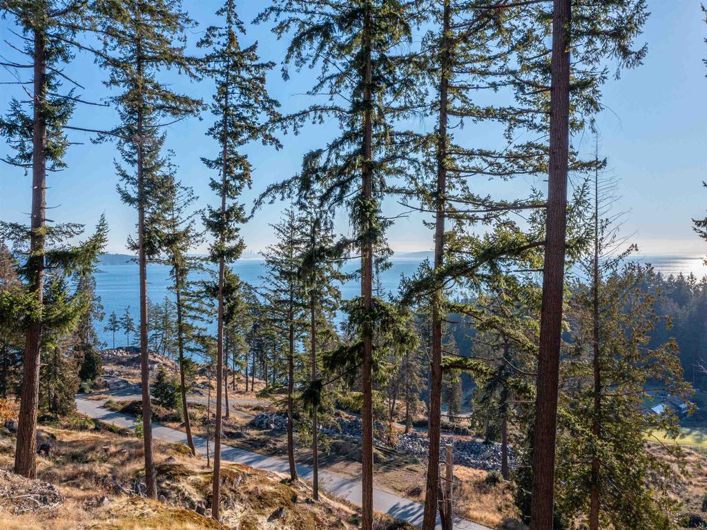 Listing Image for R3004647