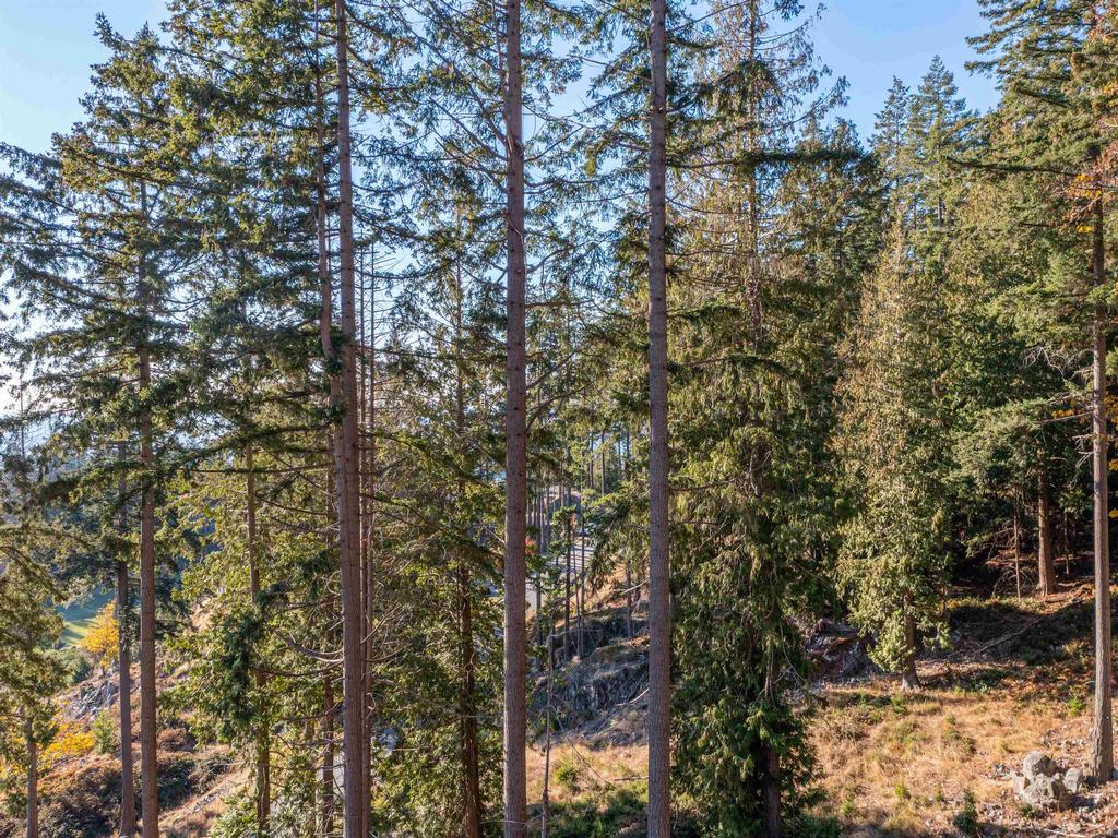 Listing Image for R3004647