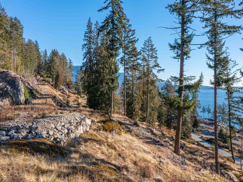 Listing Image for R3004647