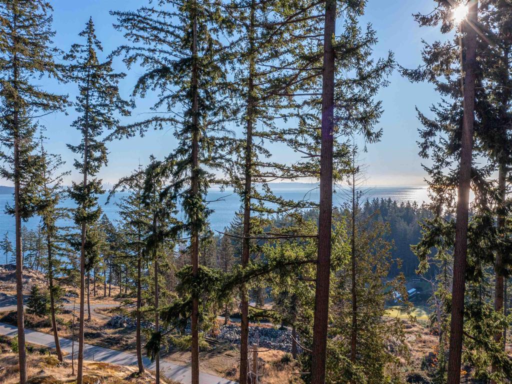 Listing Image for R3004647