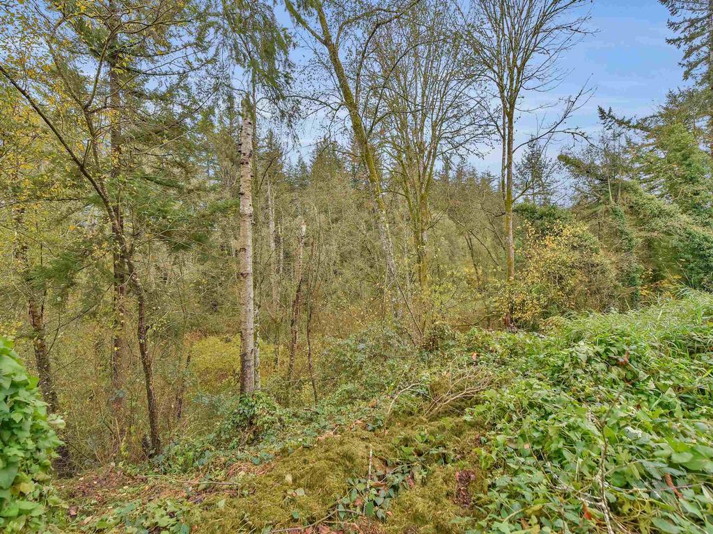 Listing Image for R3005651