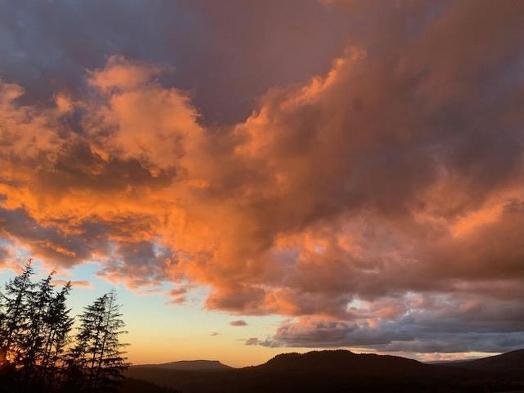 Listing Image for R3012251