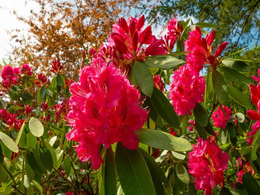 Listing Image for R3014118