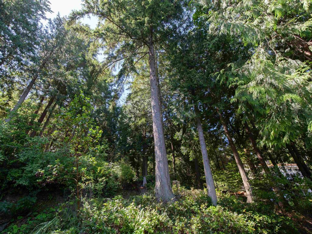 Listing Image for R3014875