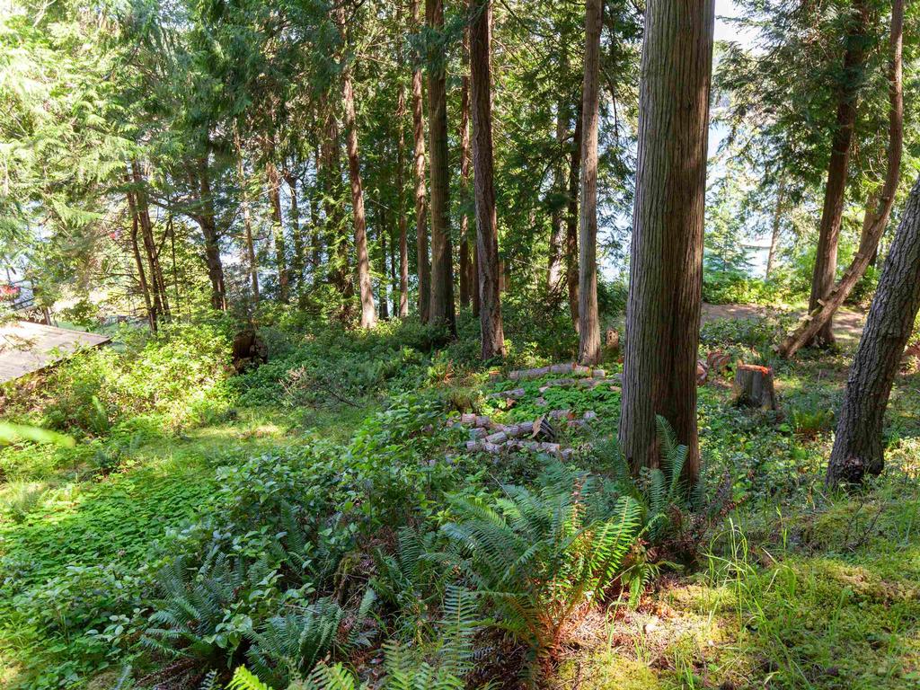 Listing Image for R3014875