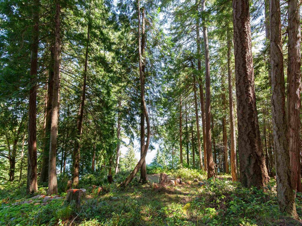 Listing Image for R3014875