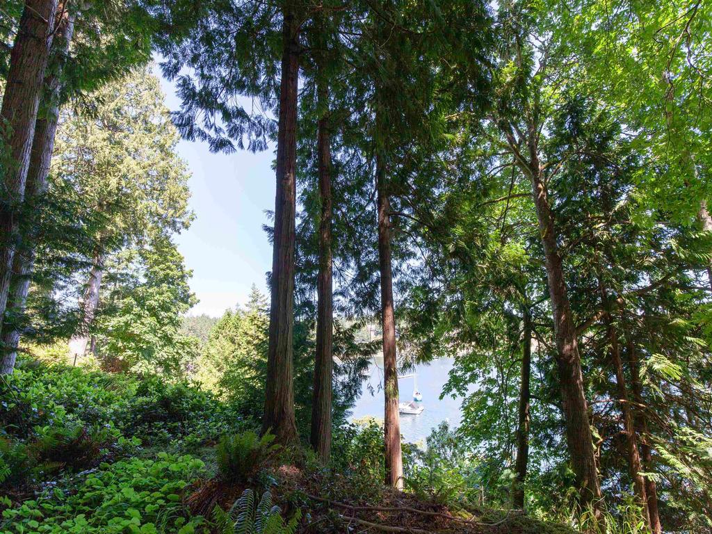 Listing Image for R3014875