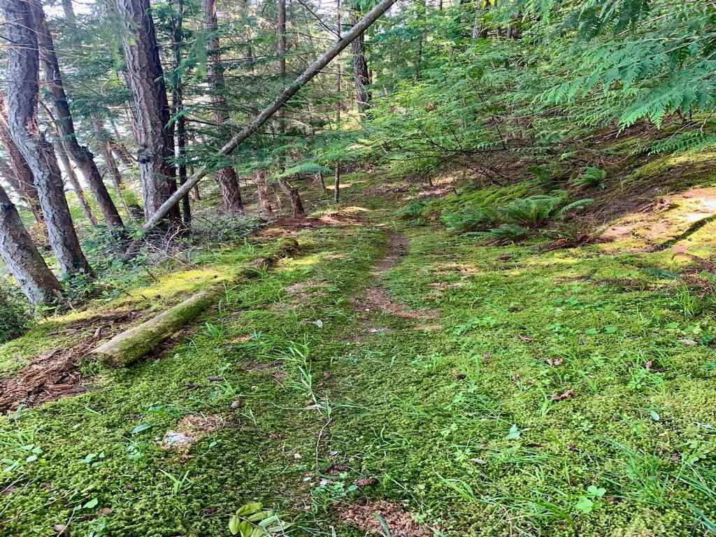 Listing Image for R3014875