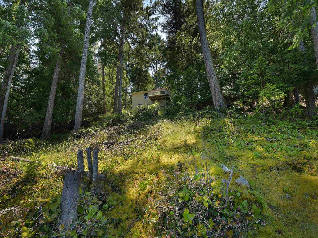 Listing Image for R3017930