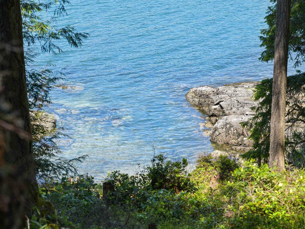 Listing Image for R3017930