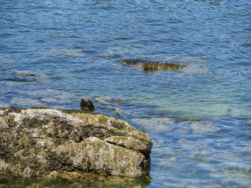 Listing Image for R3017930