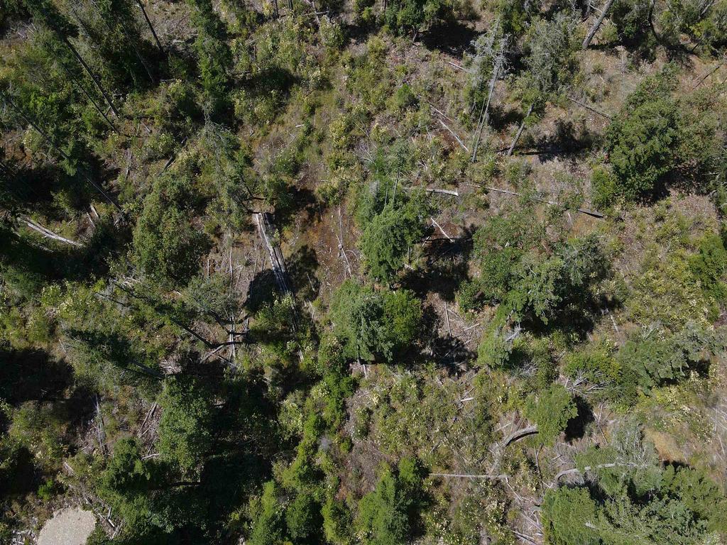 Listing Image for R3018181