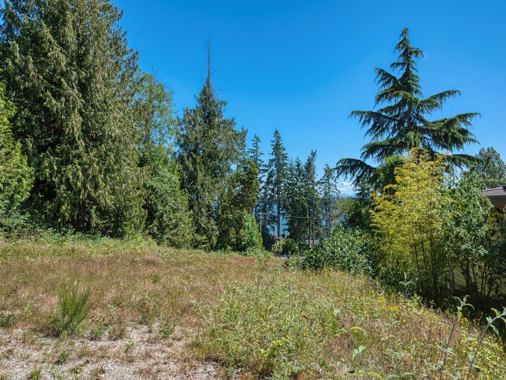 Listing Image for R3023482