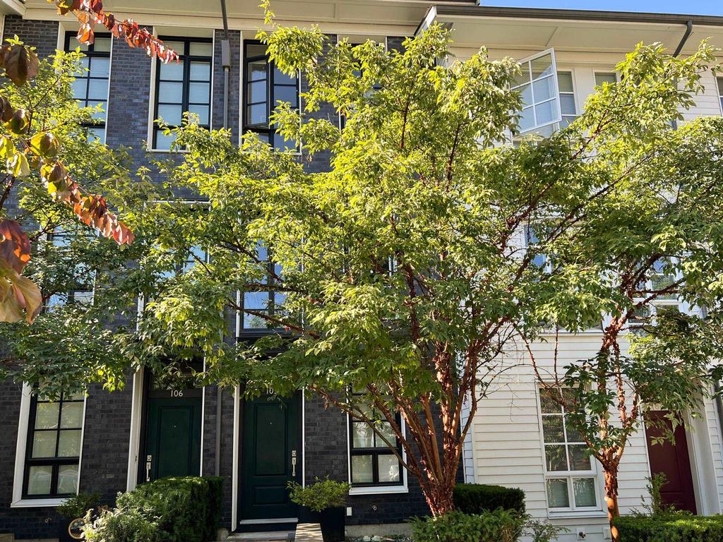 Listing Image for R3027638