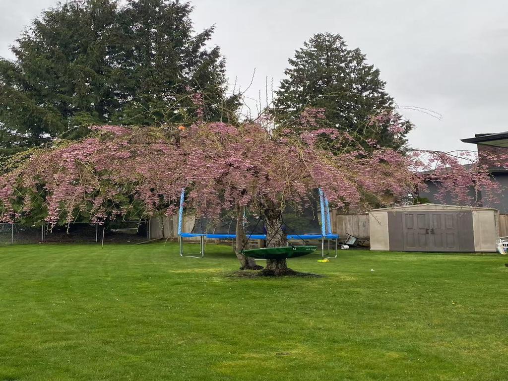 Listing Image for R3028715