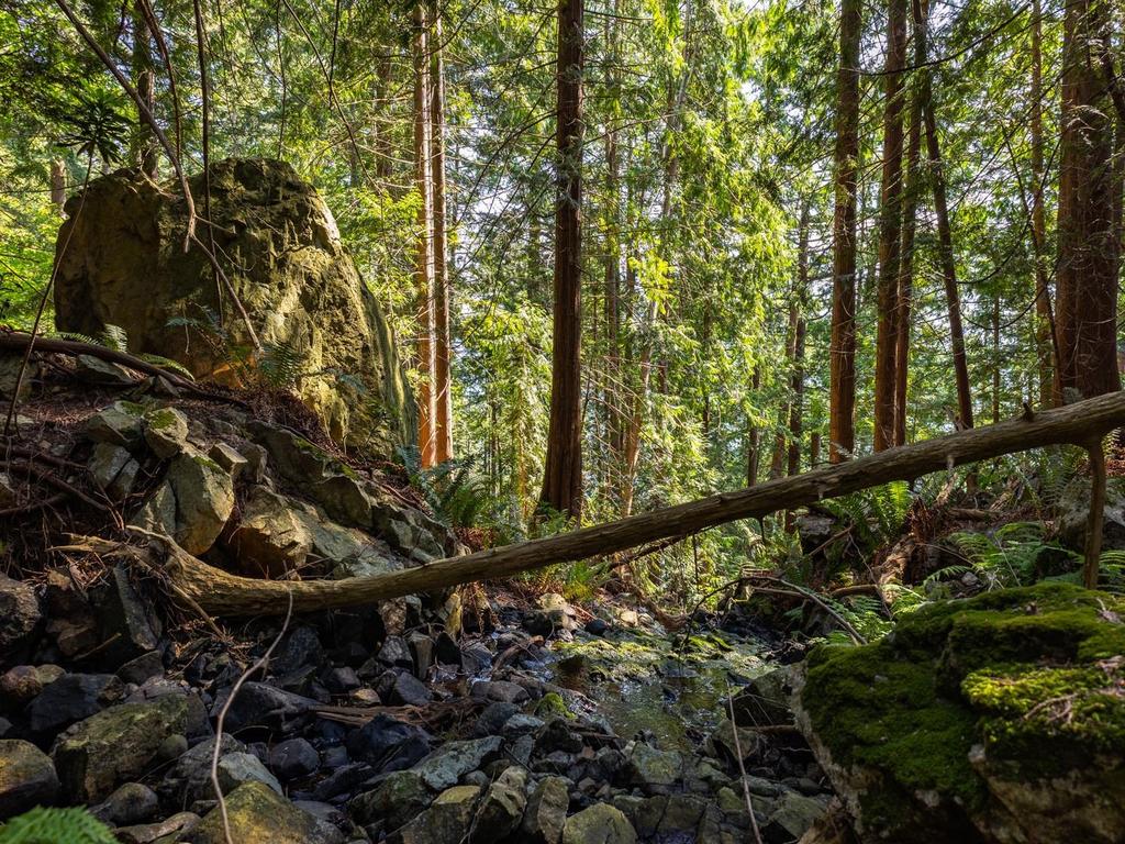 Listing Image for R3032677