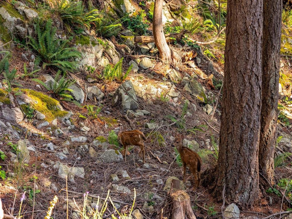 Listing Image for R3032677