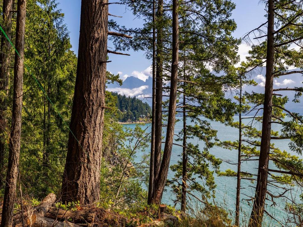 Listing Image for R3032677