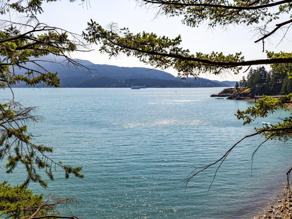 Listing Image for R3032677