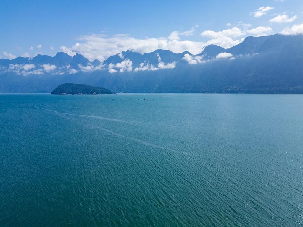 Listing Image for R3032677