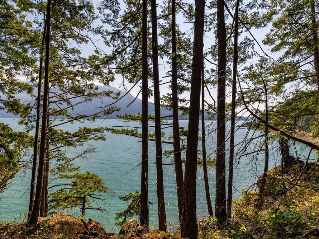 Listing Image for R3032677