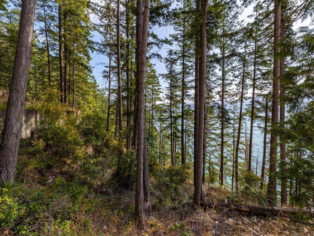 Listing Image for R3032677