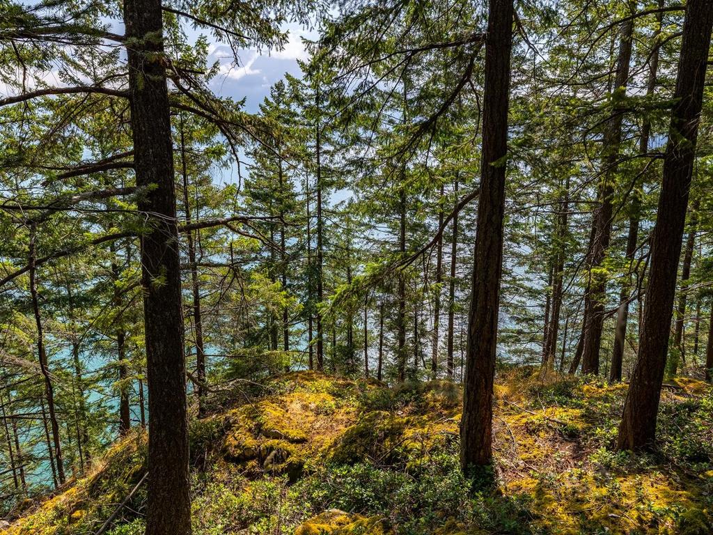 Listing Image for R3032677