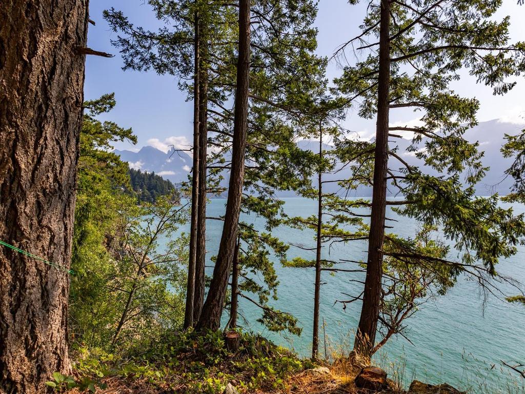 Listing Image for R3032677