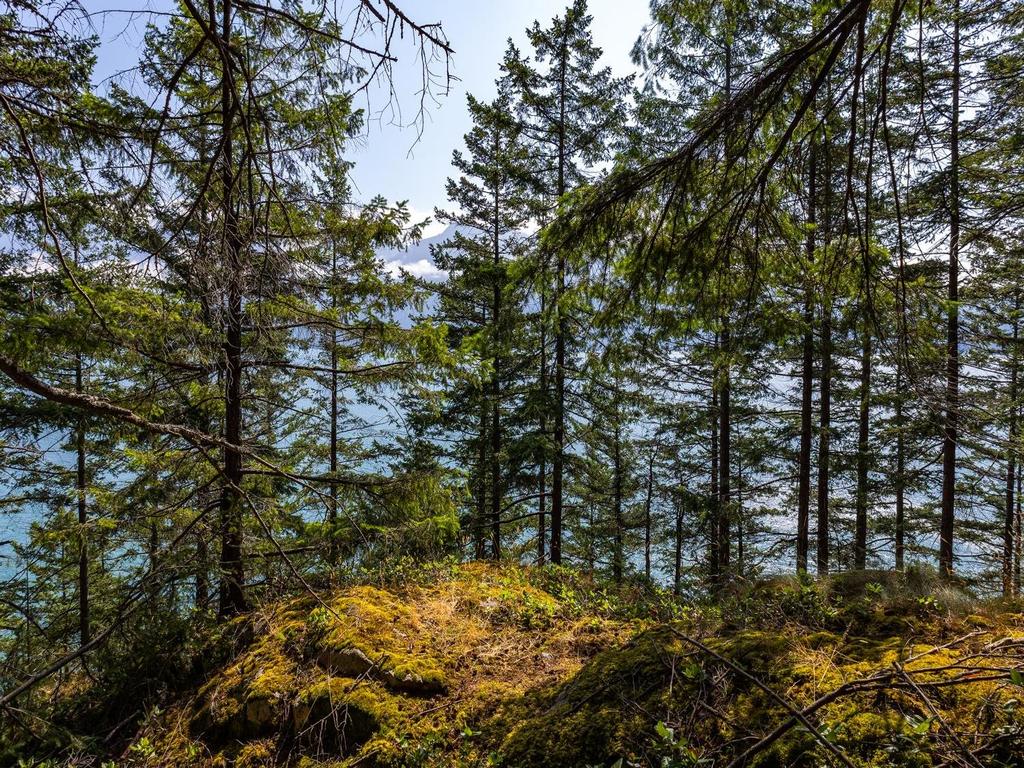 Listing Image for R3032677