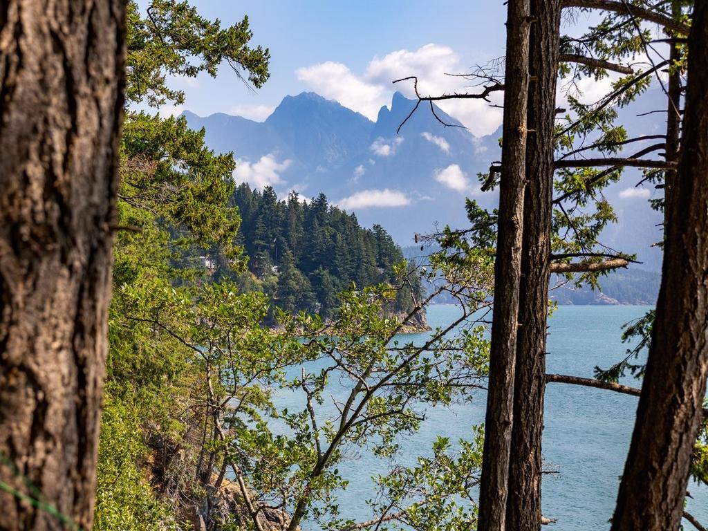 Listing Image for R3032677