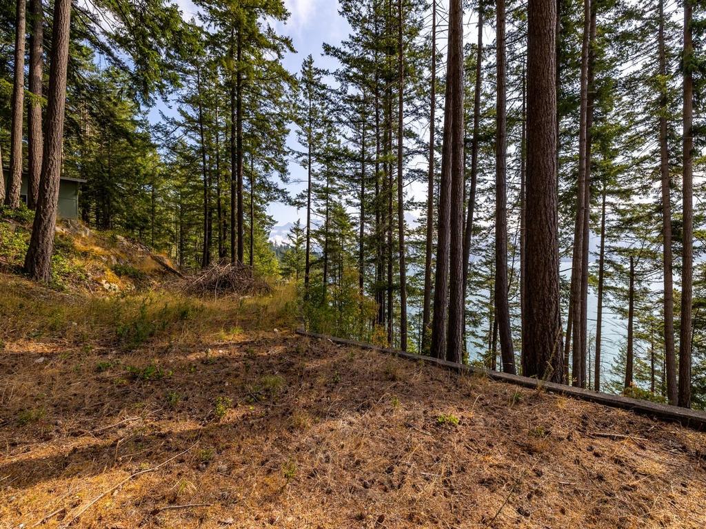 Listing Image for R3032677