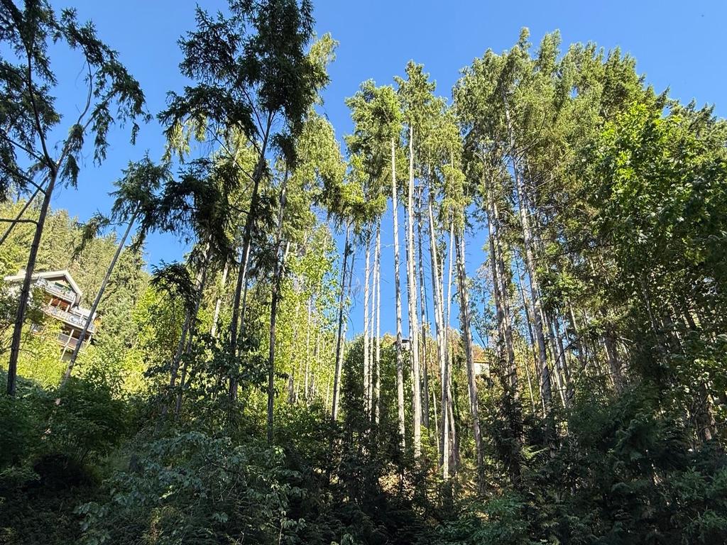 Listing Image for R3032975