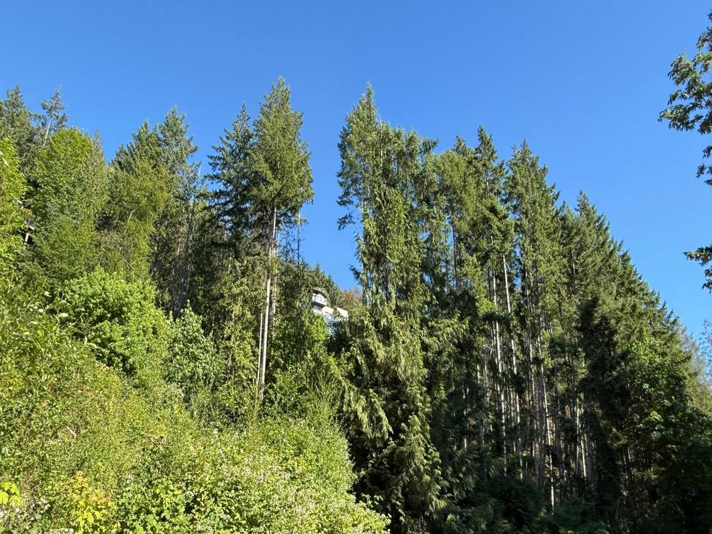 Listing Image for R3032975