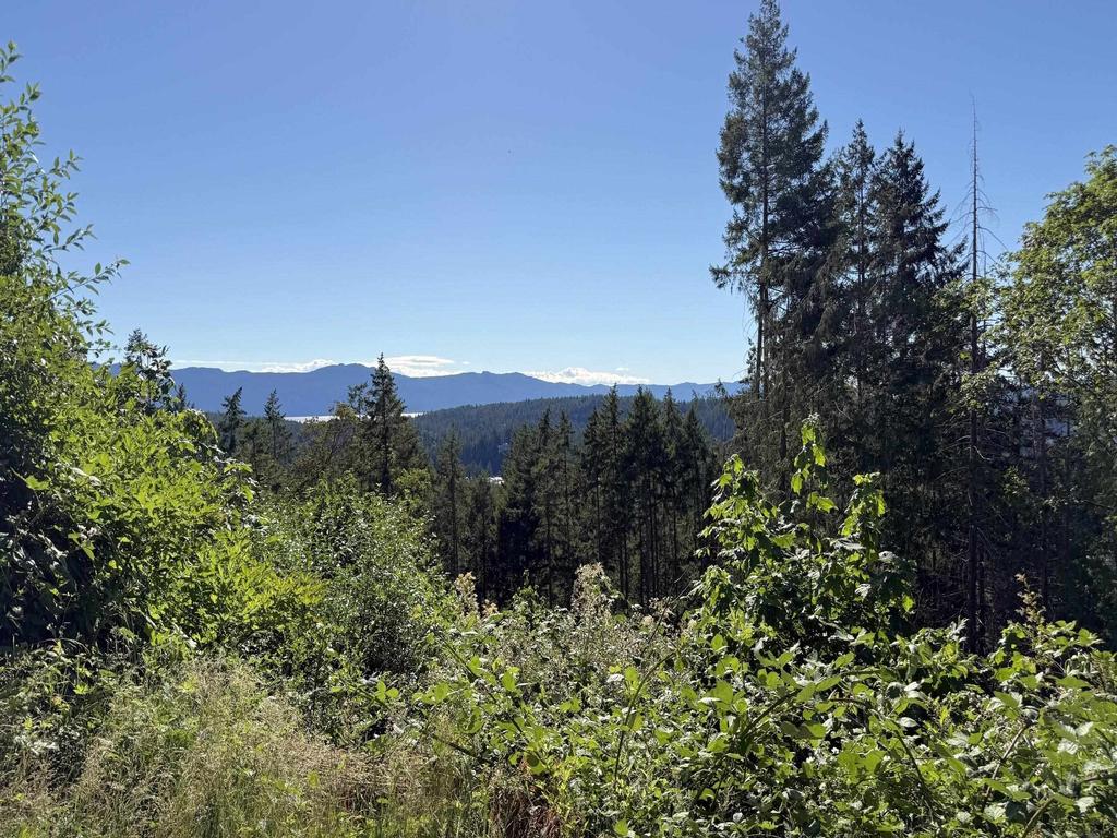 Listing Image for R3032975