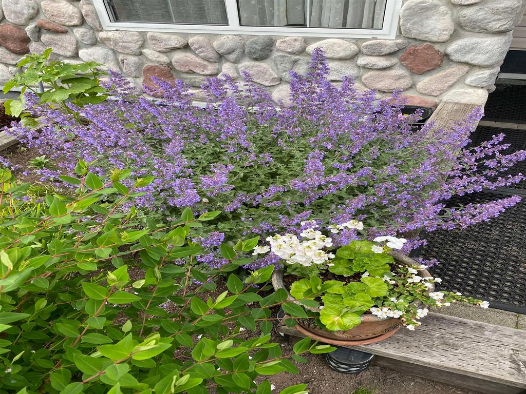 Listing Image for R3035098