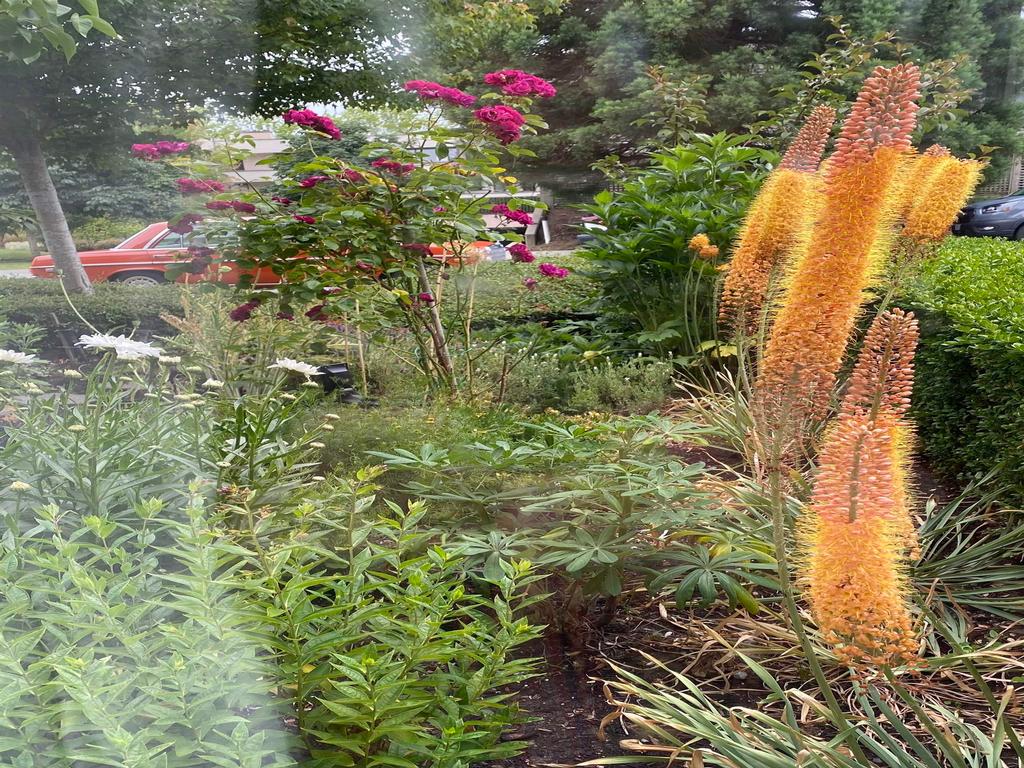 Listing Image for R3035098