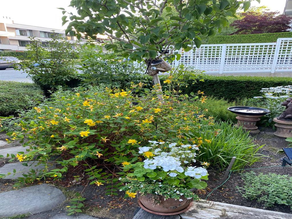 Listing Image for R3035098