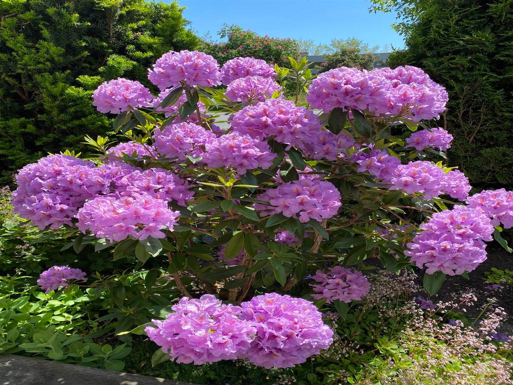 Listing Image for R3035098