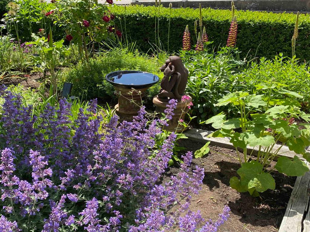 Listing Image for R3035098