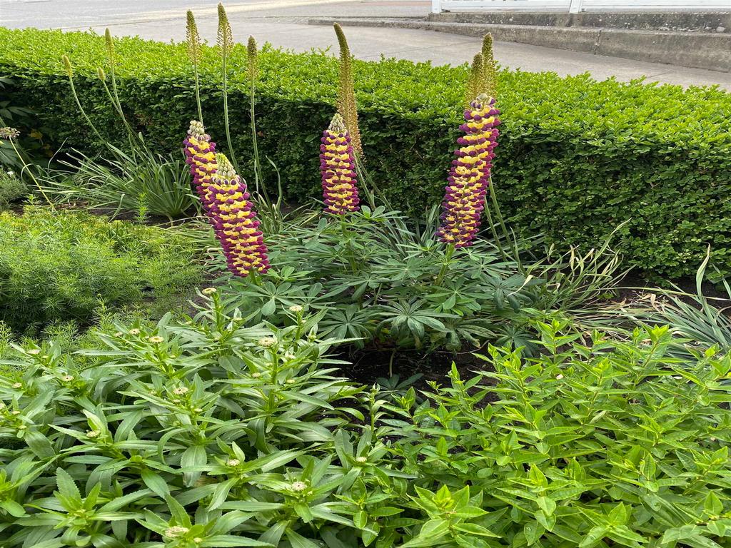 Listing Image for R3035098