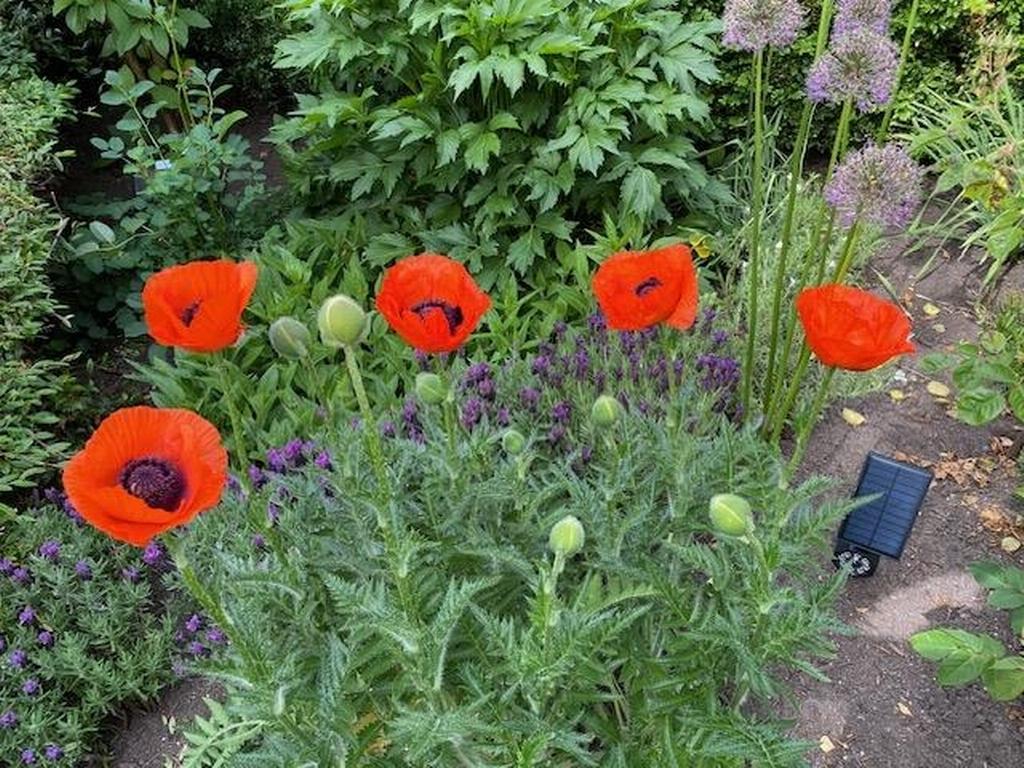 Listing Image for R3035098