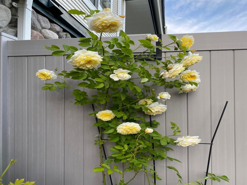 Listing Image for R3035098