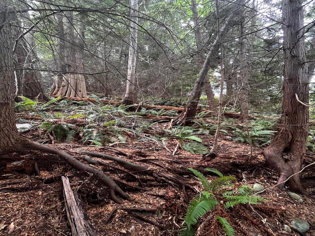 Listing Image for R3035471