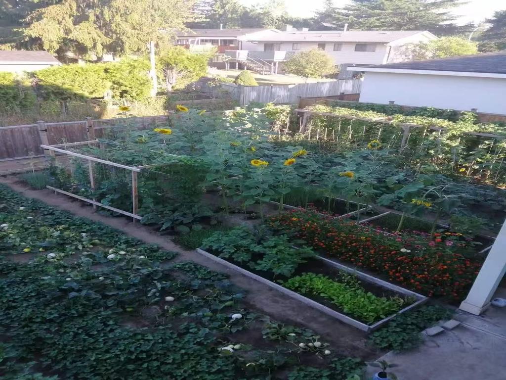 Listing Image for R3038399