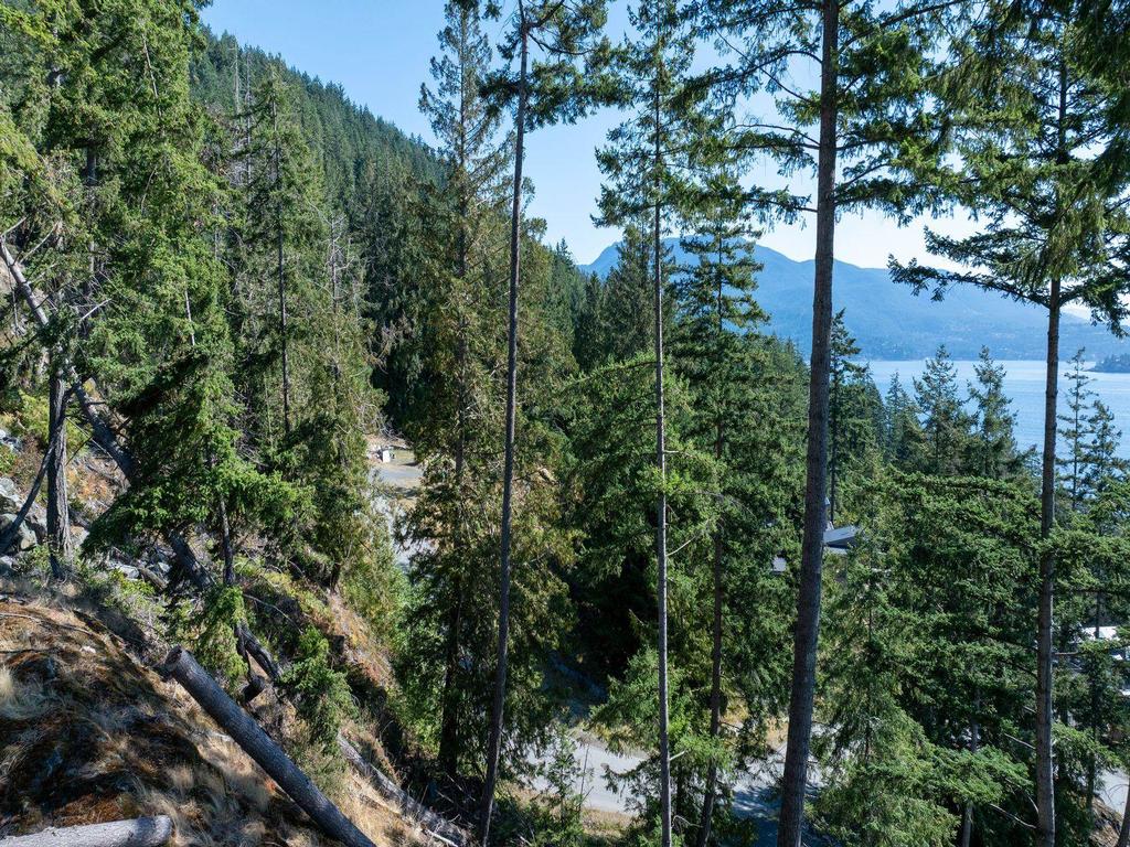 Listing Image for R3040786