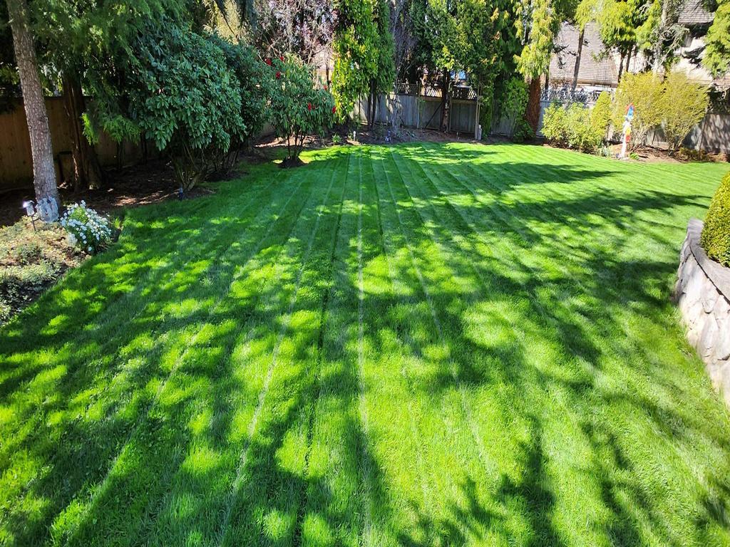 Listing Image for R3041868