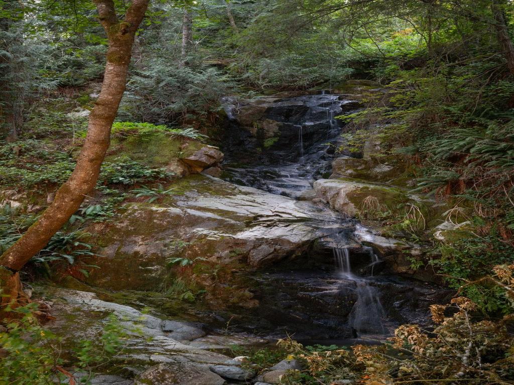 Listing Image for R3044418